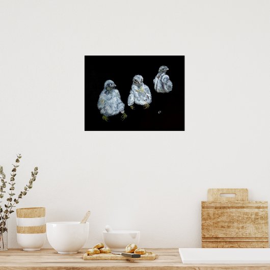 Drei Peregrine Chicks Poster (Küche)