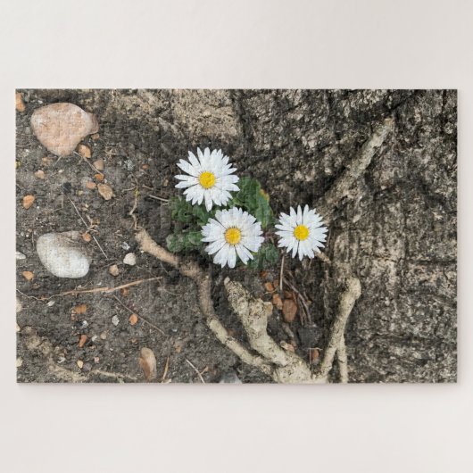 Drei perfekte Daisies gegen einen Baumstamm Puzzle (Horizontal)