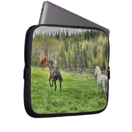 Drei Pferde auf frischem Gras im Paddock Laptopschutzhülle (Vorne Rechts)