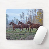 Drei Pferde, die sich als ein Geschenk für Pferde  Mousepad (Mit Mouse)
