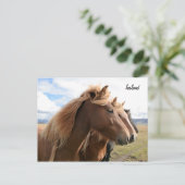 Drei Pferde hintereinander Postkarte (Stehend Vorderseite)