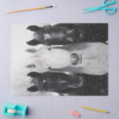 Drei Pferde im Schneekönig Seidenpapier (Basteln)