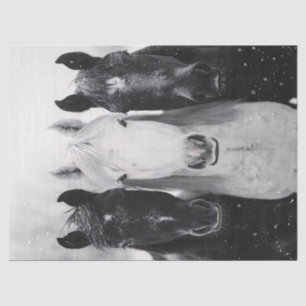 Drei Pferde im Schneekönig Seidenpapier