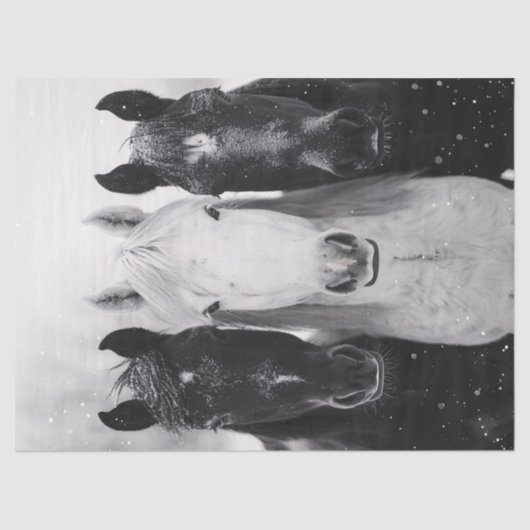 Drei Pferde im Schneekönig Seidenpapier (Vorderseite)