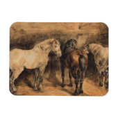 Drei Pferde im Stall Magnet (Horizontal)