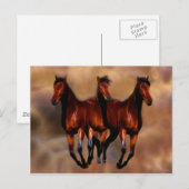 Drei Pferde in einem Postkarte (Vorne/Hinten)