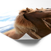 Drei Pferde in einer Reihe Poster (Ecke)