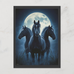 Drei Pferde Mond Postkarte