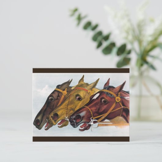 drei Pferde Postkarte (Stehend Vorderseite)