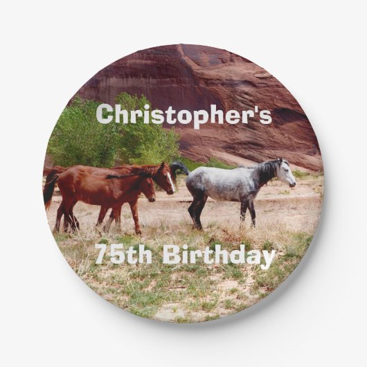 Drei Pferde, Südwesten, 75. Geburtstagsparty Pappteller (Vorderseite)