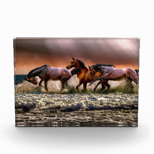 Drei Pferde Trotting im Meer Fotoblock
