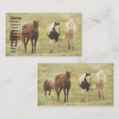 Drei Pferde und ein Pony Visitenkarte (Vorne/Hinten)