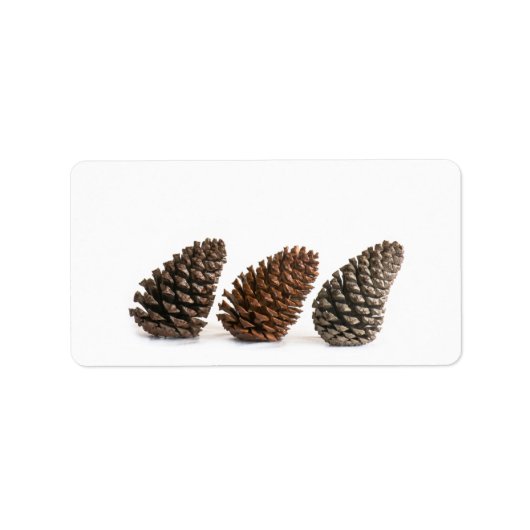 Drei pinecones adressaufkleber (Vorne)