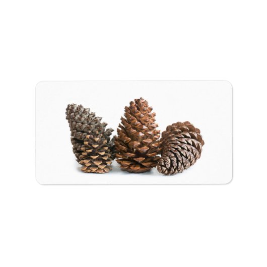 Drei pinecones adressaufkleber (Vorne)