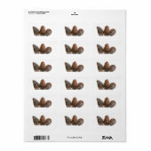 Drei pinecones adressaufkleber (Vorne)