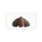 Drei pinecones adressaufkleber (Vorne)