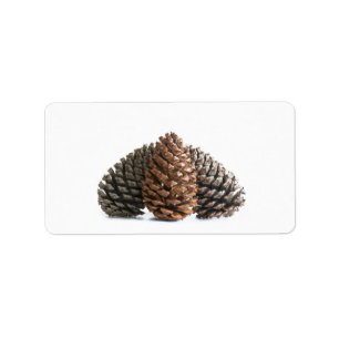 Drei pinecones adressaufkleber