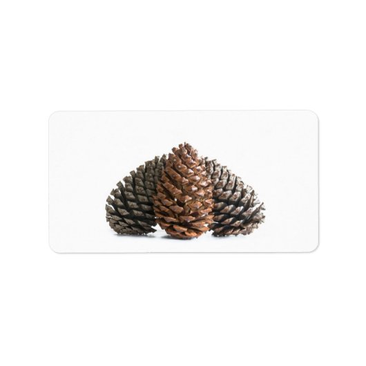 Drei pinecones adressaufkleber (Vorne)