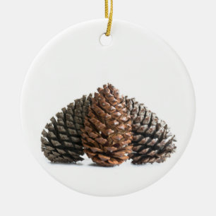 Drei pinecones keramikornament