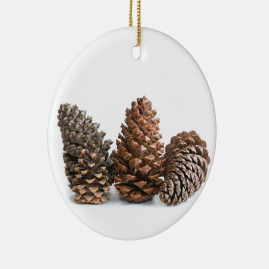 Drei pinecones keramikornament (Rechts)