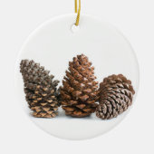 Drei pinecones keramikornament (Vorne)