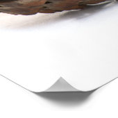 Drei pinecones poster (Ecke)