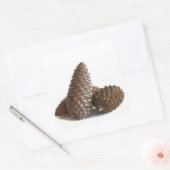Drei pinecones quadratischer aufkleber (Umschlag)