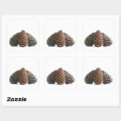 Drei pinecones quadratischer aufkleber (Blatt)