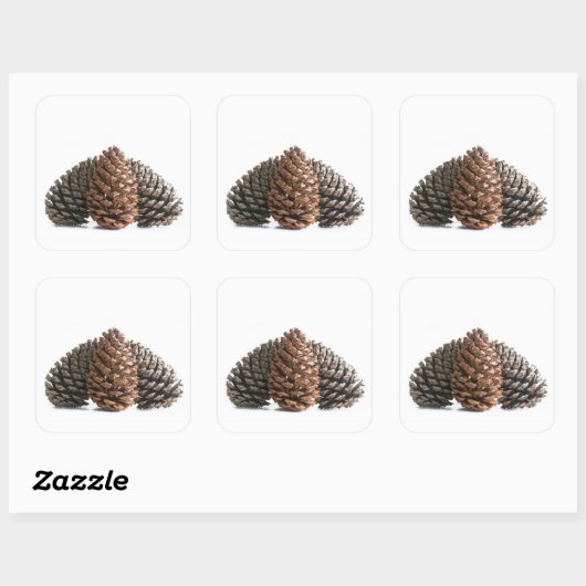 Drei pinecones quadratischer aufkleber (Blatt)