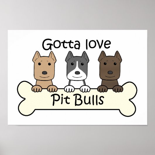 Drei Pitbullen Poster (Vorne)
