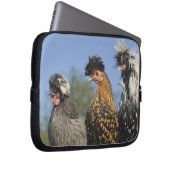 Drei polnische Hühner - Laptopschutzhülle (Vorne Rechts)
