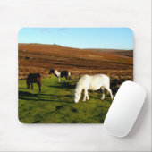 Drei Ponys auf Dartmoor Mousepad (Mit Mouse)