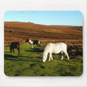 Drei Ponys auf Dartmoor Mousepad