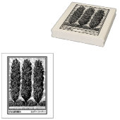 Drei Poplar Trees Ex Libris Gummistempel (Stempel)