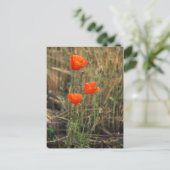 Drei Poppies | Postkarten (Stehend Vorderseite)