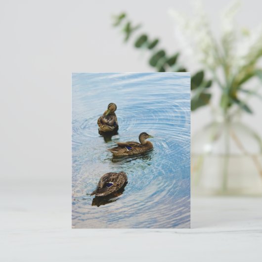 Drei Postkarte (Stehend Vorderseite)