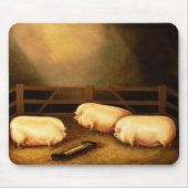 Drei Prize Schweine außerhalb eines Schweinestalls Mousepad (Vorne)