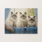 Drei Ragdoll Katzen Puzzle (Horizontal)