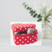 Drei Ratten in einer Herzkiste Postkarte (Stehend Vorderseite)