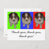 Drei Red Tri Aussie Welppies Postkarte (Vorne/Hinten)