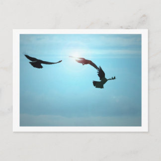 Drei Reihen Postkarte