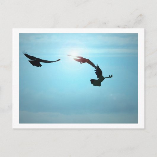 Drei Reihen Postkarte (Vorderseite)