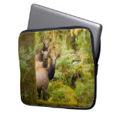 Drei Roosevelt-Elchkühe mit Blick Laptopschutzhülle (Vorderseite Links)