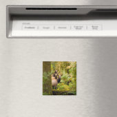 Drei Roosevelt-Elchkühe mit Blick Magnet (In Situ (Geschirrspüler))