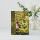 Drei Roosevelt-Elchkühe mit Blick Postkarte (Stehend Vorderseite)