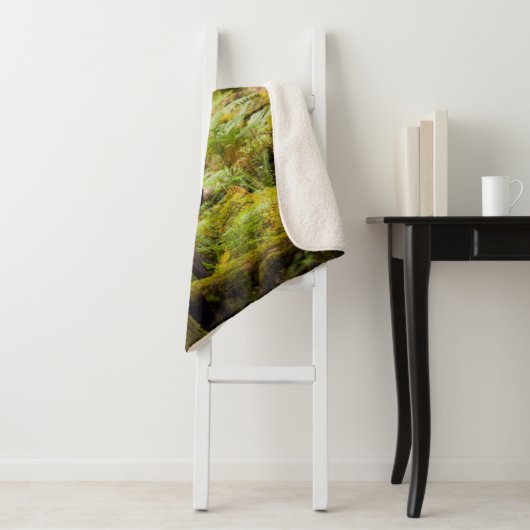 Drei Roosevelt-Elchkühe mit Blick Sherpadecke (Beispiel)