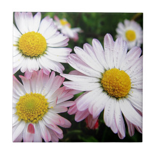 Drei rosa Gänse Fliese