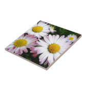 Drei rosa Gänse Fliese (Seite)