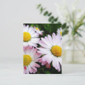 Drei rosa Gänse Postkarte (Stehend Vorderseite)