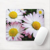 Drei rosa Gänseblume Mousepad (Mit Mouse)
